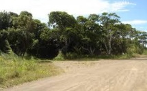 Bora-Bora: Une camionnette ne peut éviter un vélo, décès d'un enfant de onze ans (MAJ)