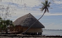 Histoire et culture polynésienne : il était une fois nos « fare » traditionnels