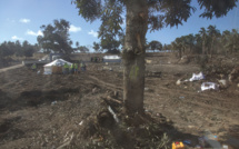 La puissance de l'éruption aux Tonga supérieure à des centaines d'Hiroshima, selon la Nasa