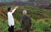 Indonésie : des indigènes menacés par Nusantara, la future capitale