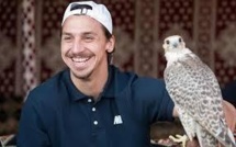 Robin des Bois regrette que le PSG fasse la promotion de la fauconnerie