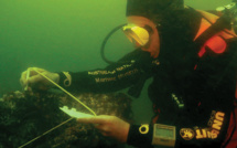 Des chercheurs australiens annoncent avoir retrouvé le navire de James Cook