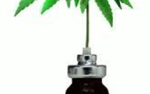 Premier feu vert en France pour le cannabis thérapeutique avec le Sativex