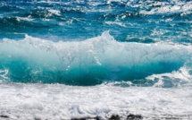 En France, un sommet pour mobiliser les Etats en faveur de l'océan