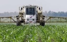 USA: la Cour suprême se range une nouvelle fois du côté de Monsanto