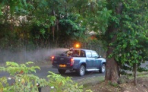 Les pulvérisations d'insecticide anti-moustiques concerneront surtout Tahiti et Moorea