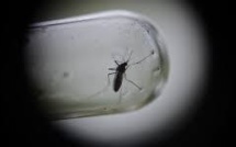 Épidémies: 1000 cas de dengue à Fidji, 1er cas de Zika en Nle Calédonie