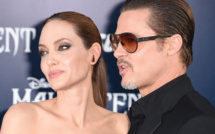 Brad Pitt s'oppose à la vente par Angelina Jolie d'une partie de leur domaine viticole en Provence