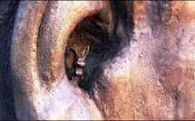 On va retirer un lapin de l'oreille de Mandela