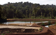 Guyane: l'usine aurifère d'Auplata reprend son activité