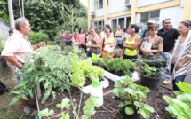Potagers pédagogiques : formation d’enseignants du 1er degré (communiqué)