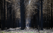 Tragédie à feu lent, les incendies rongent le nord-est argentin