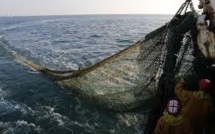 La lutte contre la pêche profonde gagne du terrain
