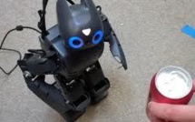 Une "langue électronique" espagnole peut distinguer une bière d'une autre