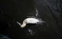 Pérou: accord d'indemnisation avec Repsol après la marée noire