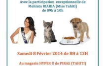 Opération récolte de croquettes pour les animaux en détresse, ce samedi 8 février