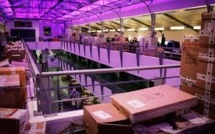 Visite surprise de François Hollande chez vente-privee.com