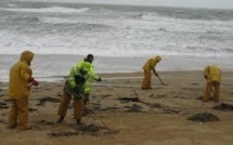 Arrivée de nouvelles galettes d'hydrocarbures sur des plages de l'Atlantique