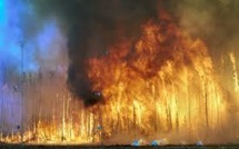 Australie: de nouveaux incendies violents détruisent des habitations