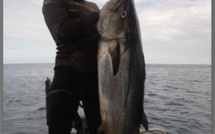 Pêche sous marine :  Championnat de Polynésie en individuel et sélectives pour le mondial  2014