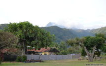 Deltaméthrine : Teva i Uta dit "non" à la pulvérisation