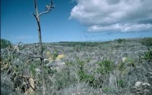 Escalade des tarifs des visas pour les médias : Wellington tente de dissuader Nauru