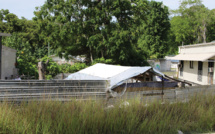 L'Australie accepte l'offre de la Nouvelle-Zélande d'accueillir 450 réfugiés