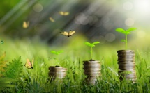 La croissance verte? Un pari impossible pour les économistes décroissants