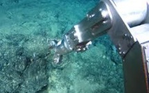 Des scientifiques sonnent l'alarme sur l'exploitation des fonds marins
