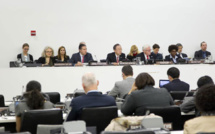 ONU : Le Comité spécial de la décolonisation entame ses travaux 2014 ce jeudi