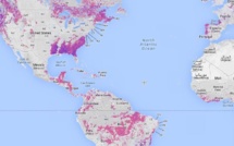 Google lance un observatoire mondial de la déforestation