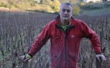 Amende requise contre un viticulteur bio qui a refusé de traiter ses vignes