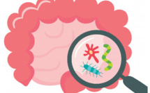 Microbiote intestinal : son rôle chez l’être humain