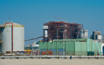 Avec des caméras infrarouges, une ONG dénonce l'écoblanchiment de navires au GNL