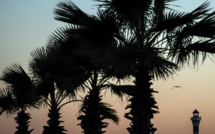 Le Festival de Cannes fêtera sa 75e édition avec Cronenberg, James Gray et Serebrennikov