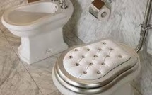 Des toilettes de la République française pour fêter la Constitution norvégienne