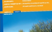 Hiro'A: le magazine culturel du mois de mars est sorti