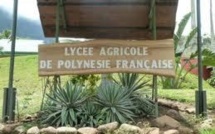 Journée portes ouvertes du lycée agricole de Moorea