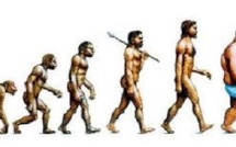 Obésité, infertilité... L'évolution inédite de l'espèce Homo sapiens
