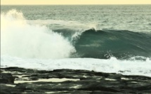 Un surfeur australien blessé dans une collision avec un dauphin