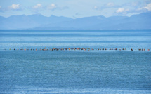 Le niveau de la mer en Nouvelle-Zélande augmente plus vite que prévu, selon une étude
