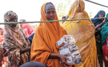 L'insécurité alimentaire aiguë à de nouveaux records dans le monde en 2021