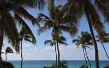 Antilles: d'ici à 2040, des îles ou parties d'îles pourraient devenir "inhabitables", selon une experte