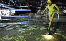 Une danse, le sexe relié à un coq, conduit un artiste devant le tribunal