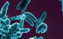 Un million d'enfants développent une tuberculose chaque année dans le monde