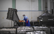 Surpêche: semaine de discussions marathon à l'OMC