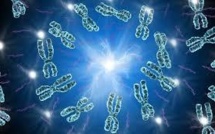 Chromosome de synthèse, un nouveau pas vers la création du "vivant artificiel"