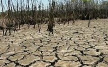 Réchauffement: le Giec alerte sur l'insécurité alimentaire et les risques de conflit