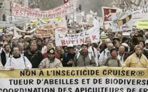 Les apiculteurs dans la rue pour dire "non aux insecticides tueurs d'abeilles"
