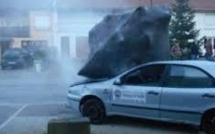 Un village lorrain collectionne les poissons d'avril